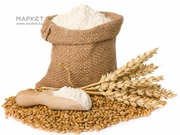 Продам пшеницу 4 класса мягкого сорта,  муку ,  из Казахстана